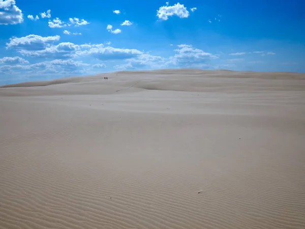 Het Nationaal Park Sowiski Met Bewegende Duinen Ligt Het Centrale — Stockfoto