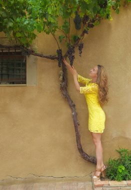 üzüm üzüm hayran bir kadın