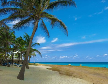 egzotik oceanic görünümü 