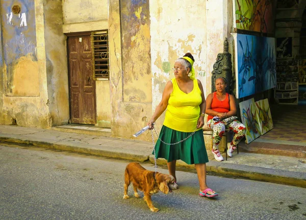Havana'da köpek yürüyüş — Stok fotoğraf