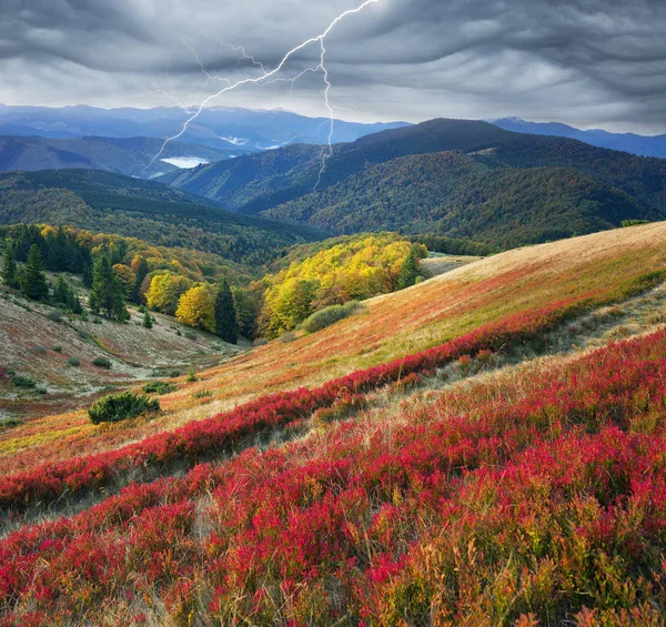 Bunter Herbstteppich in den Karpaten — Stockfoto