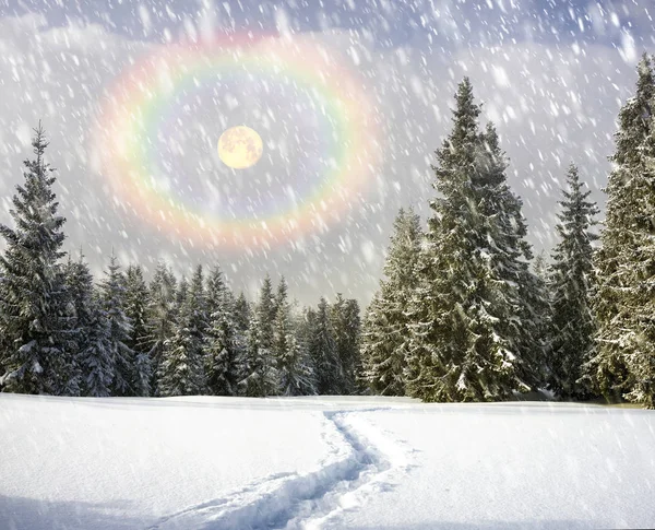 Magische winter in de Karpaten — Stockfoto