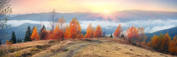 Herbstkrimi in den Bergen — Stockfoto