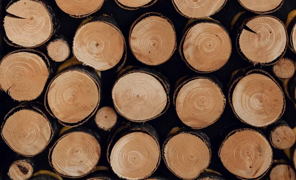 Wood logs with age circles for fire — Stock Photo, Image