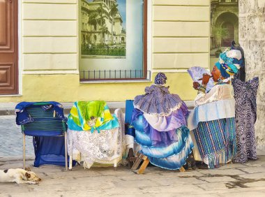 bir falcı Havana, Küba