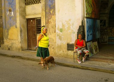 yaşlı bir kadın köpek Havana'da yürüyor