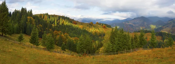 Buchen in den Herbstkarpaten — Stockfoto