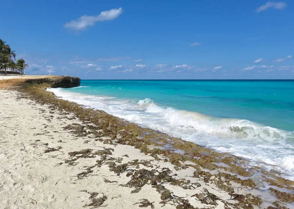 キューバのターコイズ ブルーの海 — ストック写真