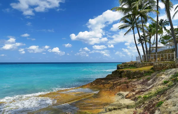 Exotic Caribbean palm tree resort — Stock Photo, Image