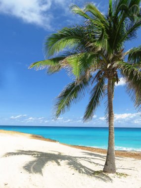 beautiul egzotik Karayip deniz manzarası