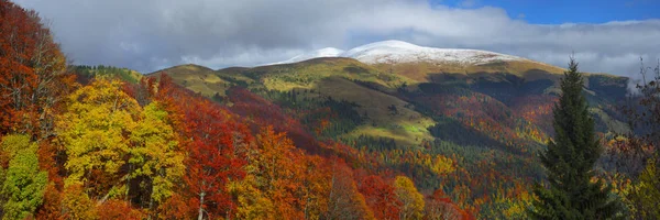 Erster Schneefall über den ukrainischen Karpaten — Stockfoto