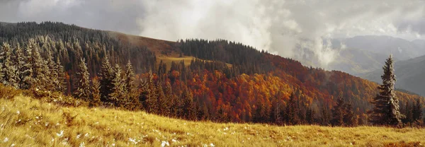 Primera nevada en las montañas en otoño — Foto de Stock