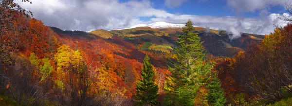Schöner Herbst in den Bergen — Stockfoto