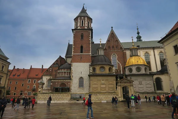 Charmanter Wawel in Krakau in Rosenblüte — Stockfoto