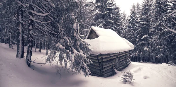 Paisaje panorámico de invierno severo con cabaña de madera cubierta de nieve — Foto de Stock