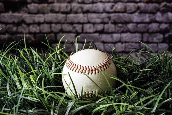 Baseball in Grass — Stock Photo, Image