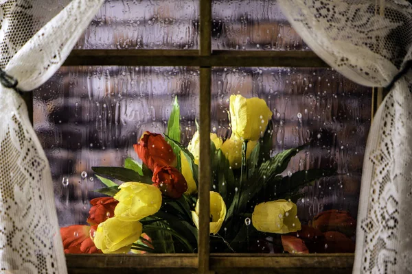 Цветы под дождем — стоковое фото