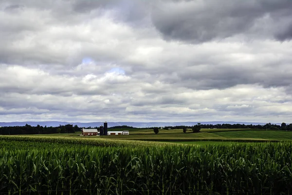 Ферма и поля — стоковое фото