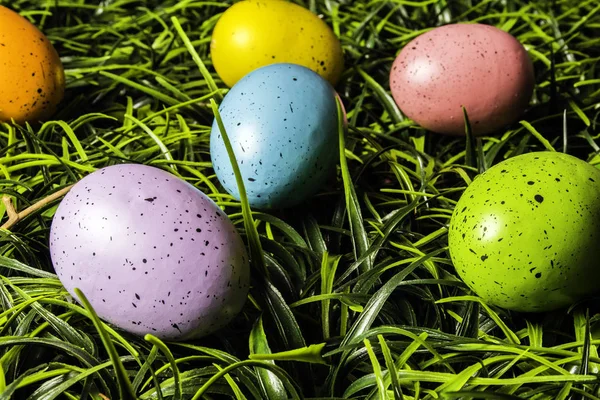 Oeufs Pâques Colorés Isolés Dans Herbe Verte — Photo