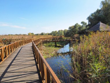 Kopacvo Baranja içinde ahşap köprü