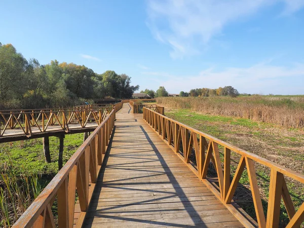 Wooden bridge in Kopacvo Baranja — Stock Photo, Image