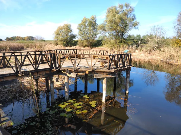 Wooden bridge in Kopacvo Baranja — Stock Photo, Image