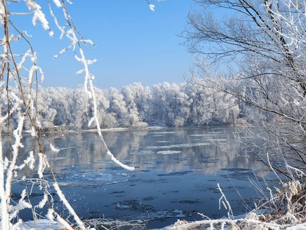 Nehri beyaz frost ile kaplı buz ve ağaç dalları altında