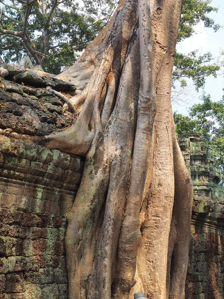 Angkor wat Camboja — Fotografia de Stock