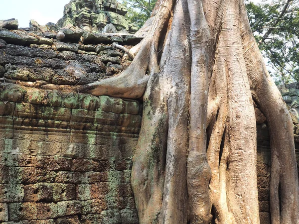 Angkor cuba Camboja — Fotografia de Stock