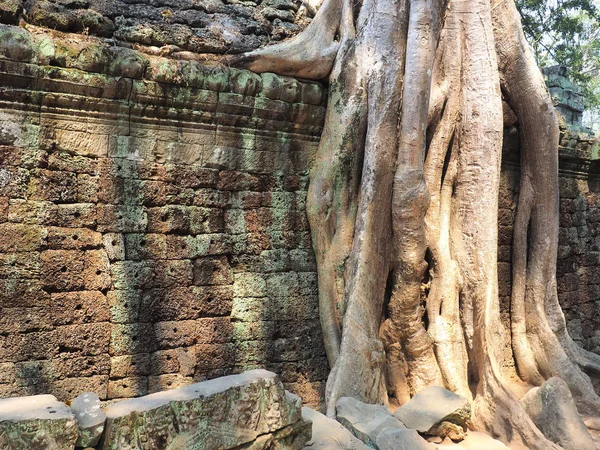 Angkor vat Kambodża — Zdjęcie stockowe