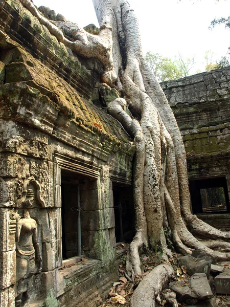 Angkor cuba Camboja — Fotografia de Stock