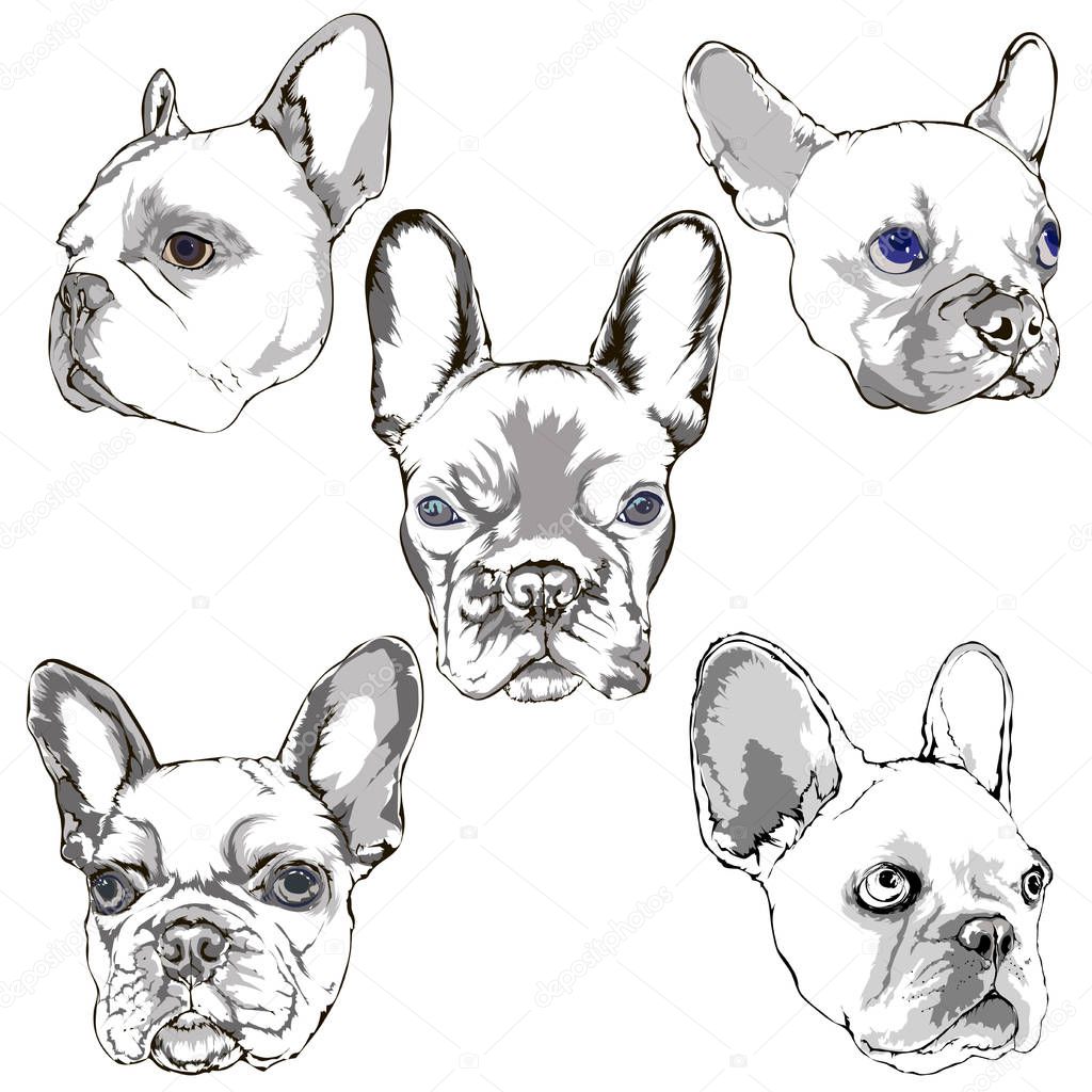 Image for clearance of goods for animals, and interior design and print