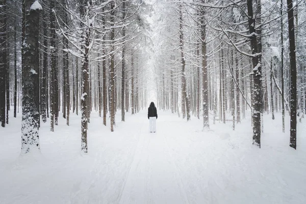 Walk alone in the snow-covered forest