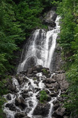 Gürcistan'daki süt şelale