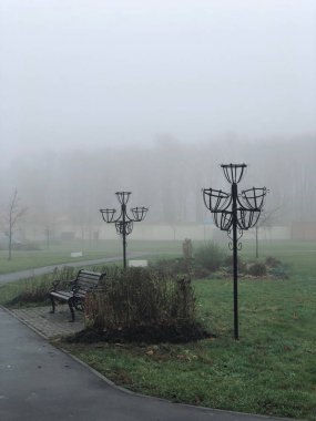 Moskova 'daki boş Yasenevo parkında sisli bir sonbahar sabahı 