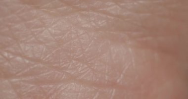 İnsan derisi üzerinde makro görünüm