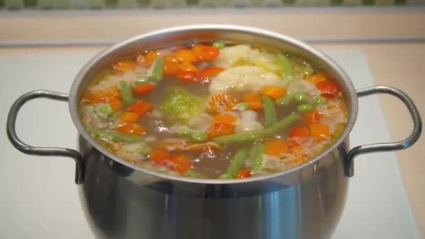 Vegetable Soup Pot Cooked Kitchen Stove — Stock Video