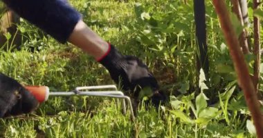 Bahçede çalış, yabani otları ayıkla. Yakın çekim görünümü