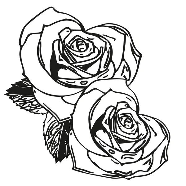Saint Valentin rose & coeur — Image vectorielle