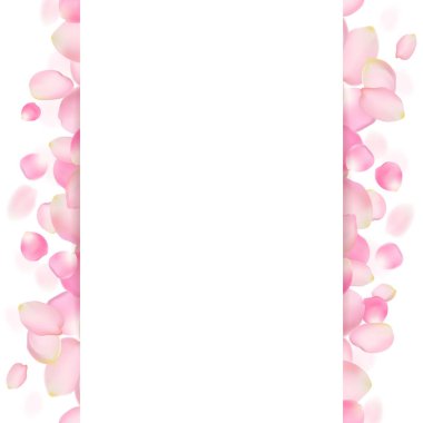 kırmızı gül yaprakları