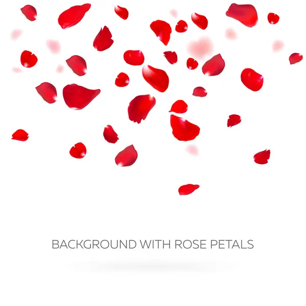 红色的玫瑰花瓣 — 图库矢量图片