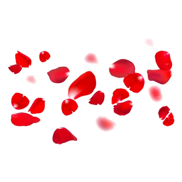 Rote Rosenblätter — Stockvektor