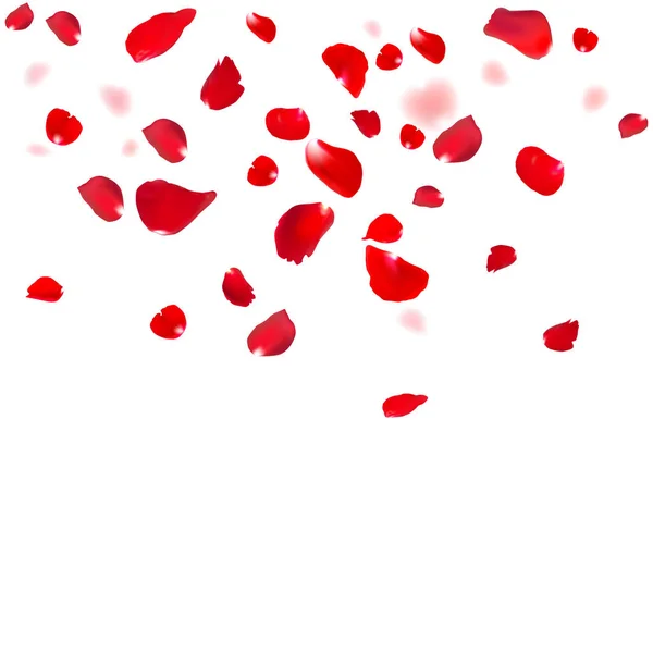 빨간 장미 꽃잎 — 스톡 벡터