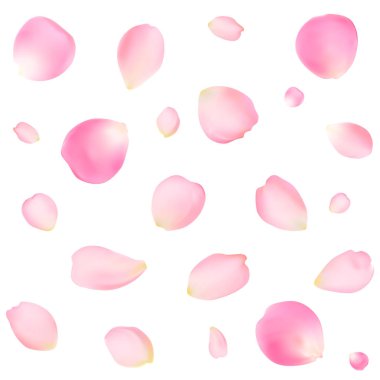 pembe gül yaprakları