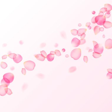 Pink rose petals clipart