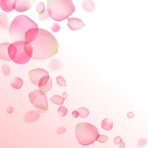 Pétales de rose rose — Image vectorielle