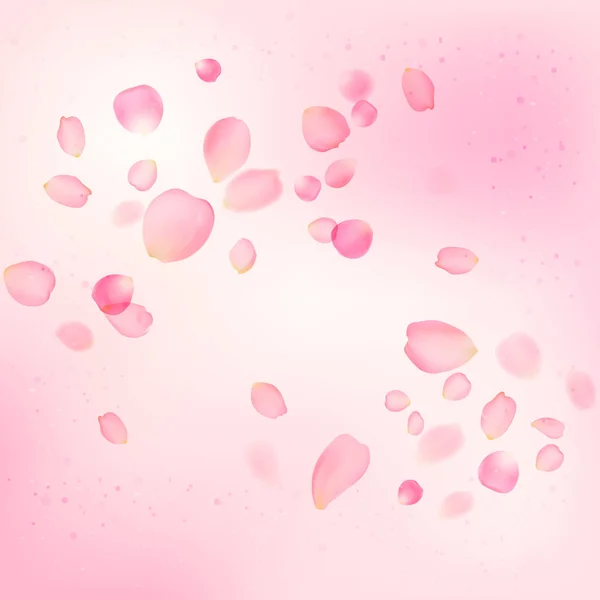 Pink rose petals — Stock Vector