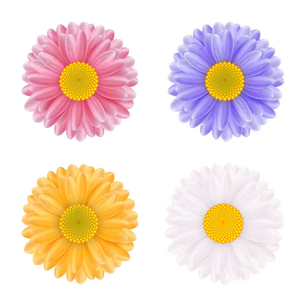 Conjunto de cuatro flores de colores — Vector de stock