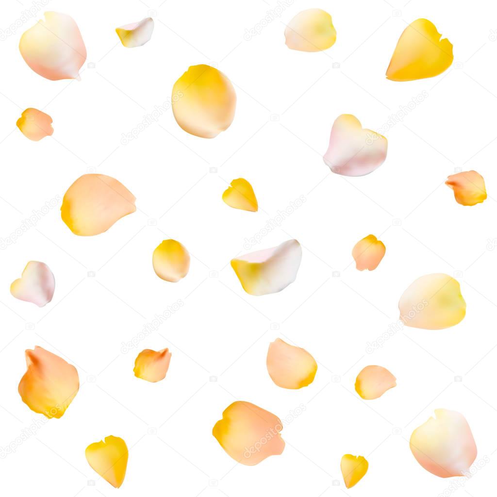 Rose petals seamless vector background