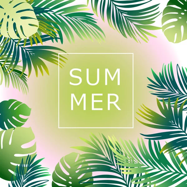 Folheto tropical de verão com folhas de palmeira — Vetor de Stock